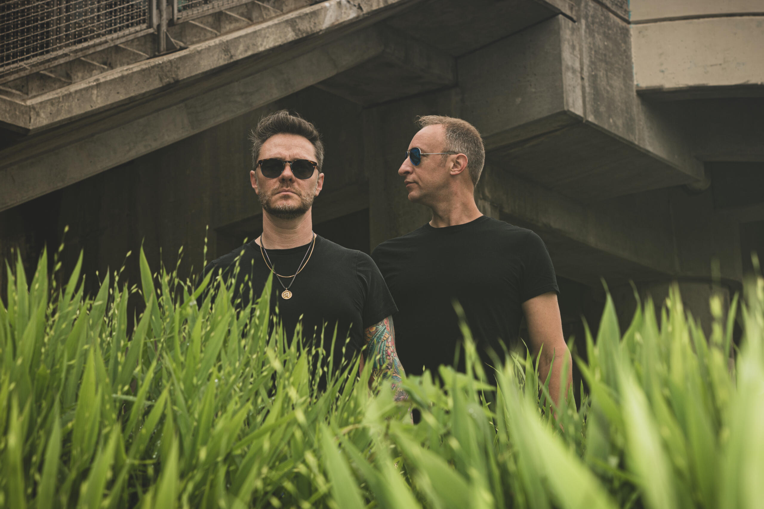 Majestic Phoenix Logo